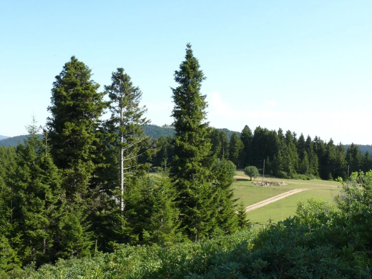 the view of the park from the hilltop above