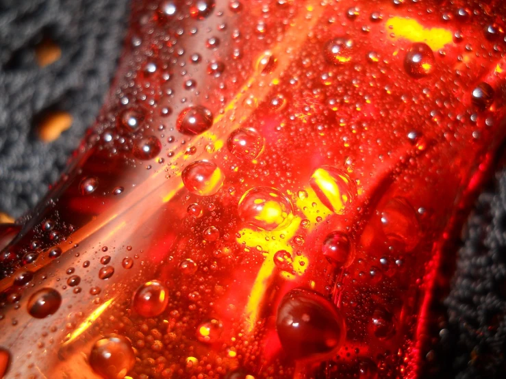 a close up po of dew droplets on a red bottle