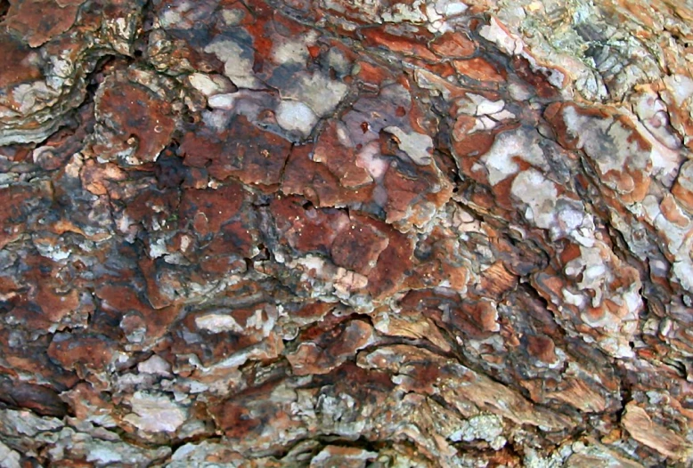 a rock textured with various colors and textures