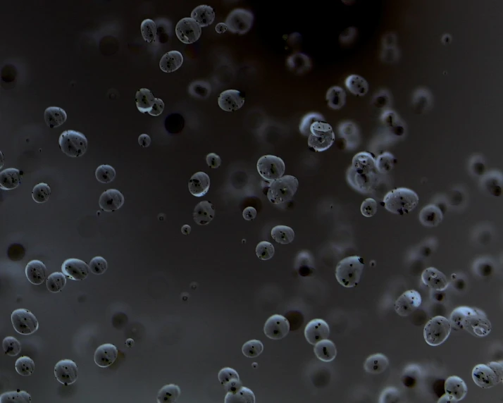 water bubbles are scattered through a black sky
