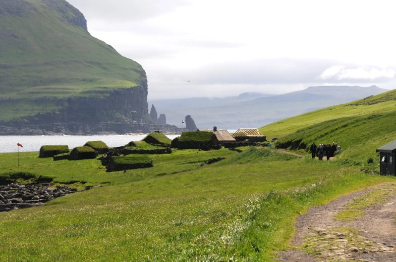 a house and cows on a grassy hill near a body of water