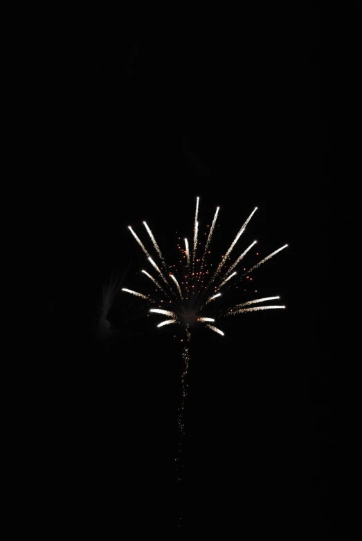 fireworks are lit up in the dark night sky