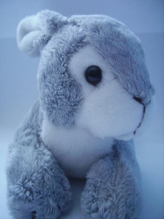 a grey stuffed animal sitting up against a white backdrop