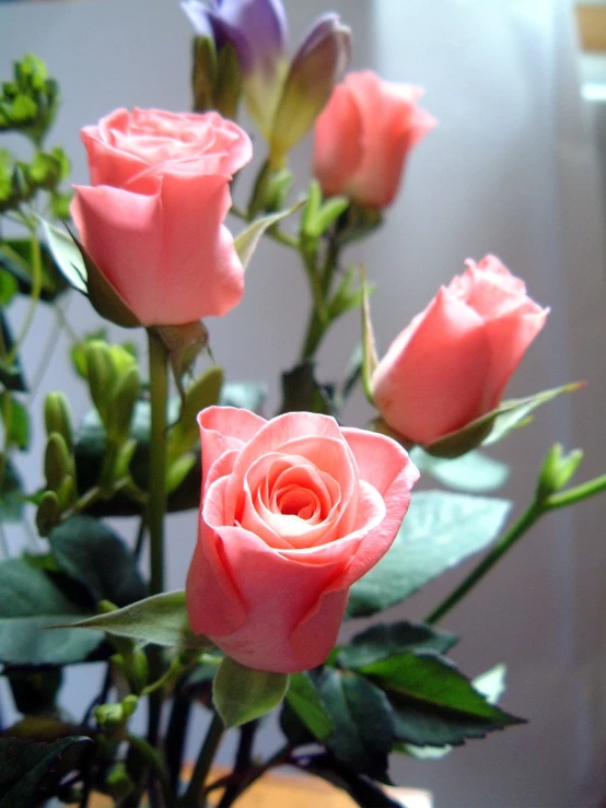 a vase full of pretty pink roses on a table