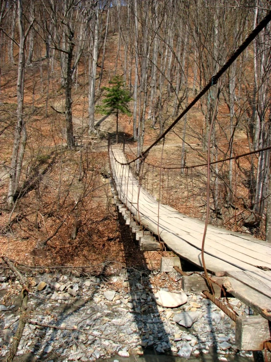 a wooden bridge spanning a stream in a wooded area