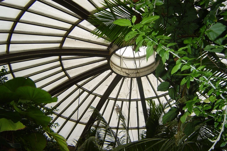 the inside of a building has large plants in it