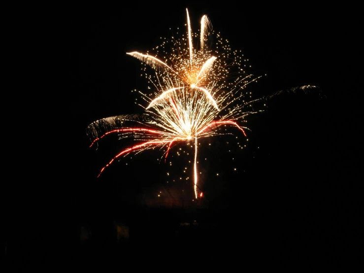 a brightly colored fireworks in the dark sky