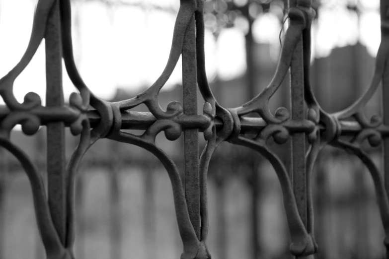 a close up s of a metal fence