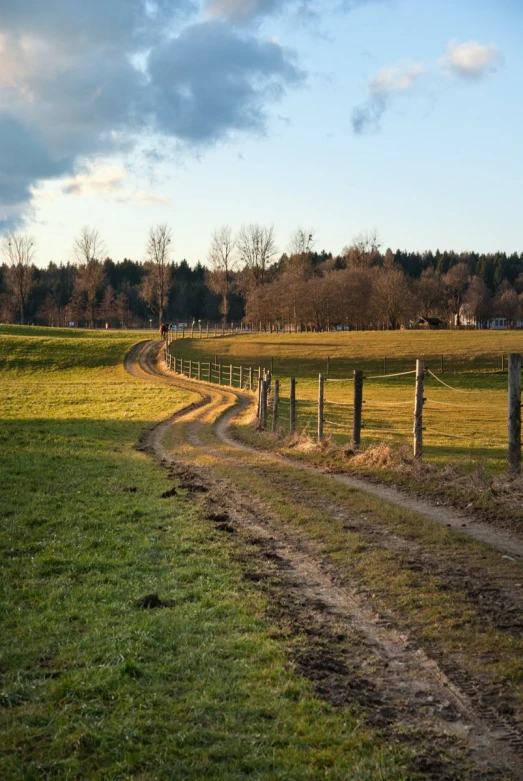 the path that leads to a grassy field