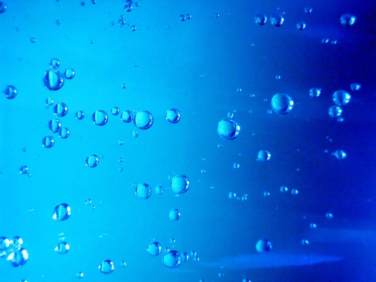 water droplets and bubbles are on the surface