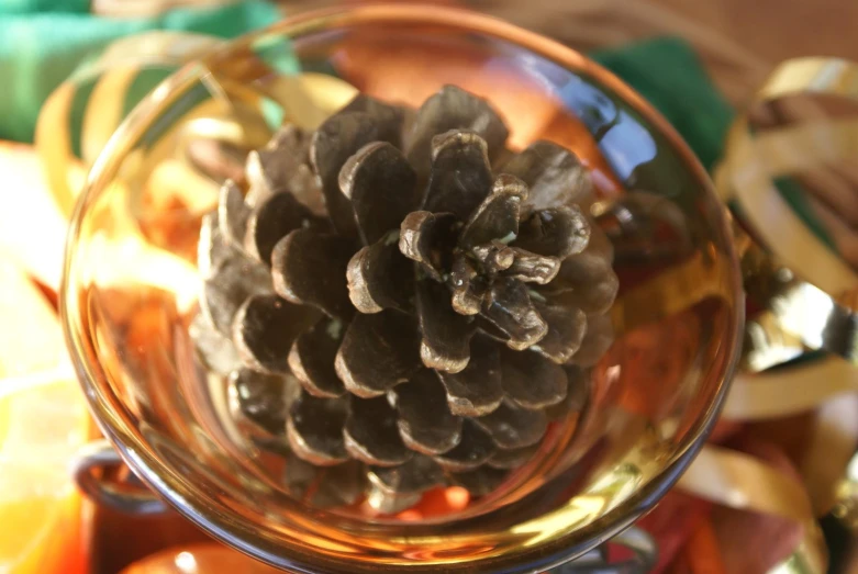 a pine cone sitting on top of a glass vase