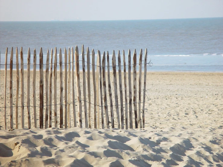 a line of old wood fencing on the beach