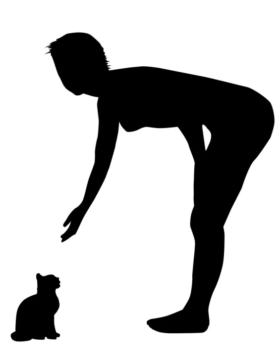 a cat sitting beside a person and it's silhouette