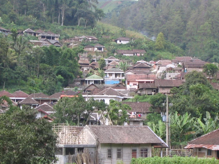 some houses on the hill with many trees and plants