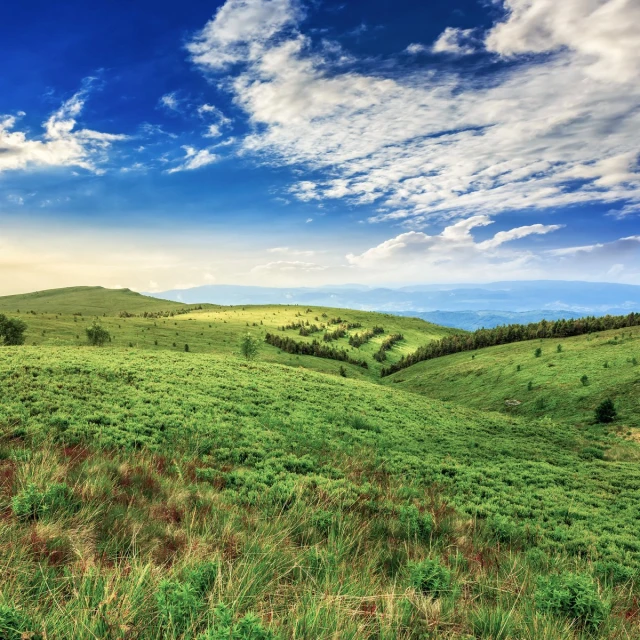 a field on a cloudy day that has grass all around