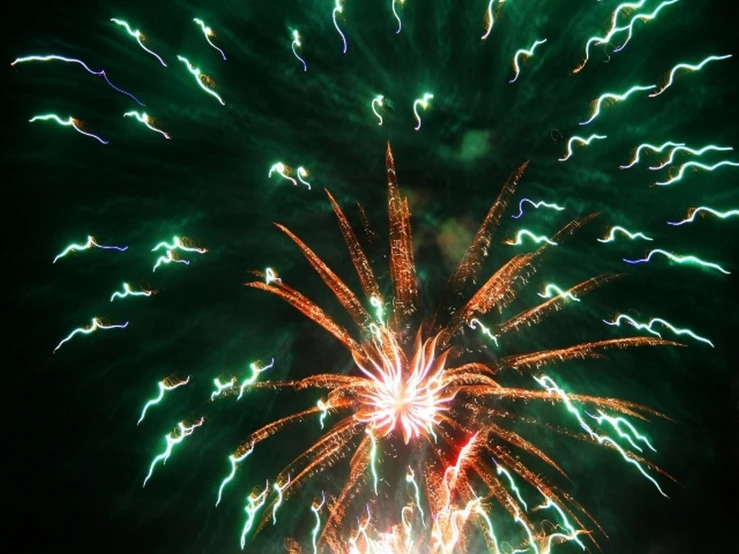 an colorful fireworks display is in the night sky