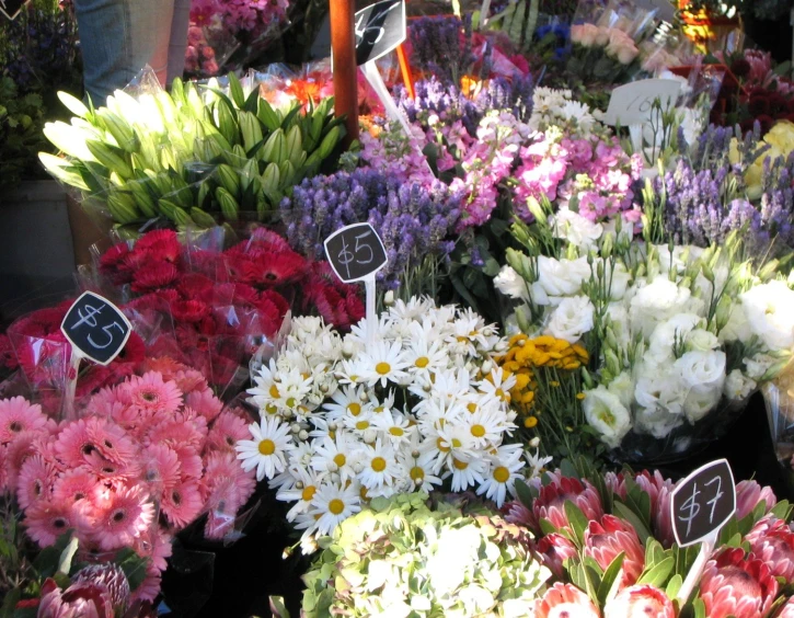 a flower display showing flowers on the side