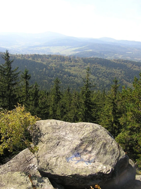 a large rock on top of a mountain surrounded by forest