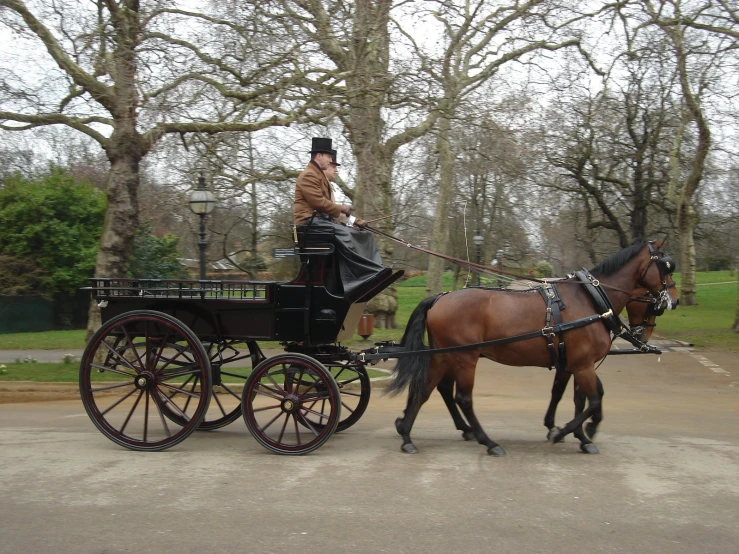 a horse and carriage in a park with people riding on the back