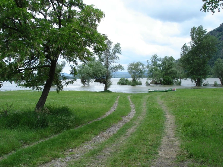 a path leading to a water bank with a bench