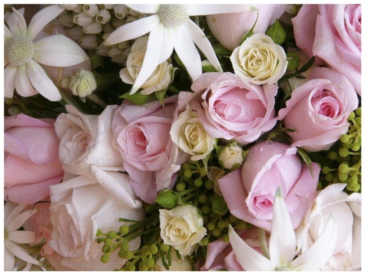 pink roses and white flowers are arranged next to each other