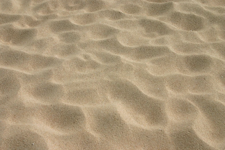 a sandy area with brown and white sand