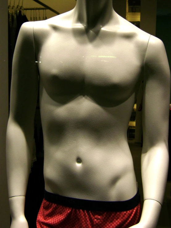 a torso view of a male mannequin with his shirt off