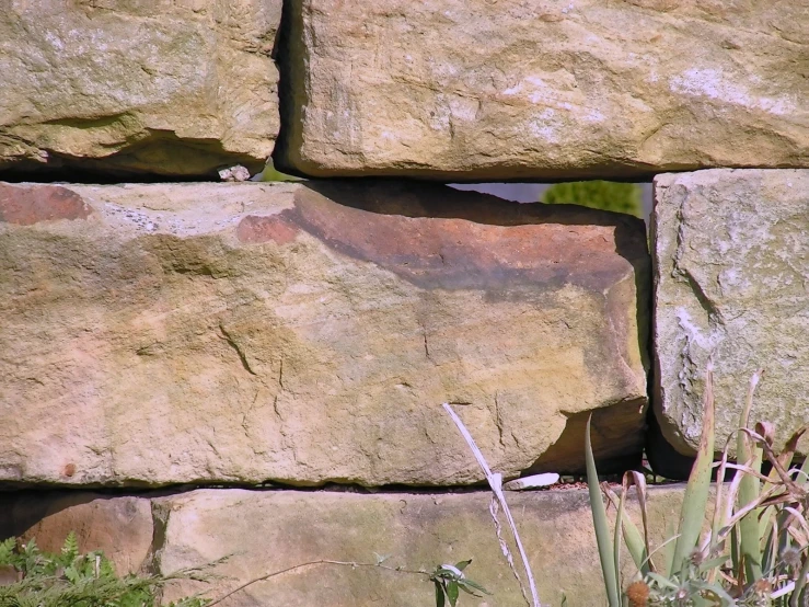 the bird is sitting near a big pile of stone