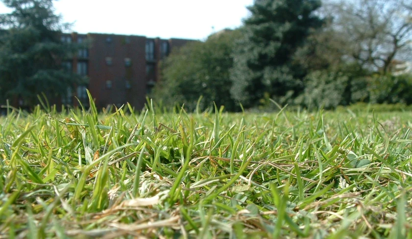 the grass is very green by a brick building