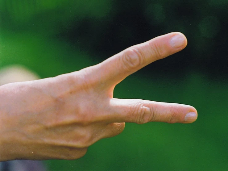 this is an image of a person with one hand making the middle finger sign