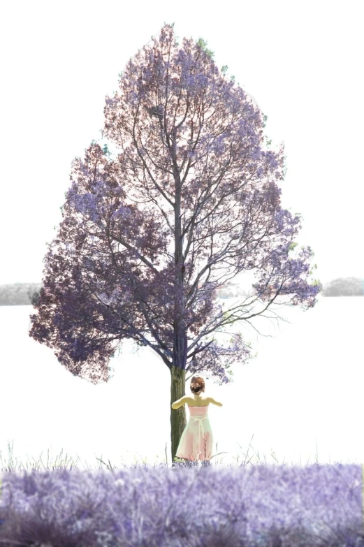 a couple of women standing next to a tree