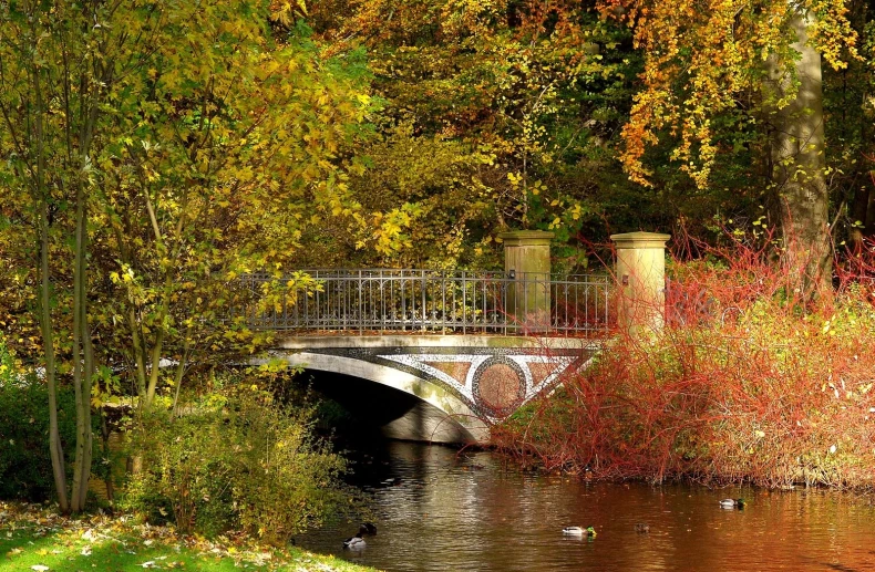 the bridge is over a small river between trees and grass