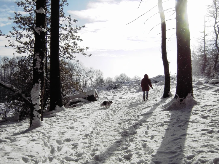the girl walks her dog on snow - covered ground
