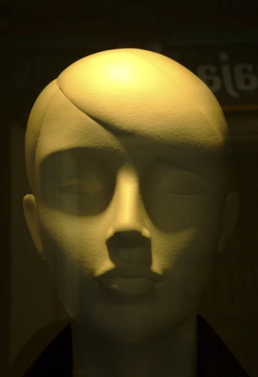 the close up of a mannequin head with light coming through