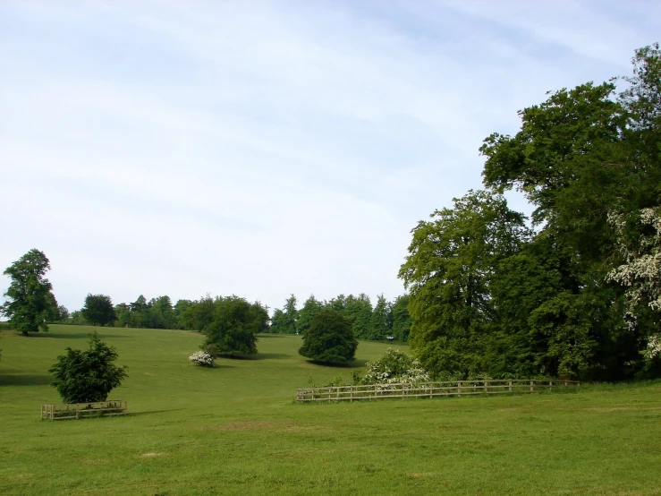 three sheep are grazing in a green pasture