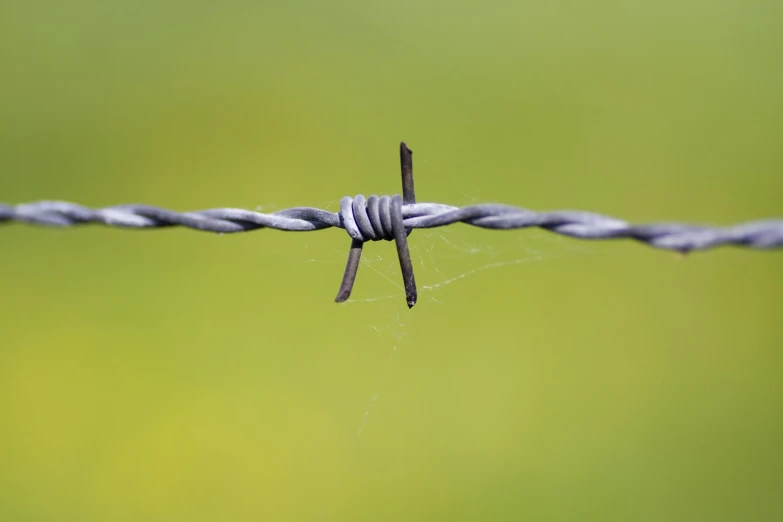 an image of close up view of a wire