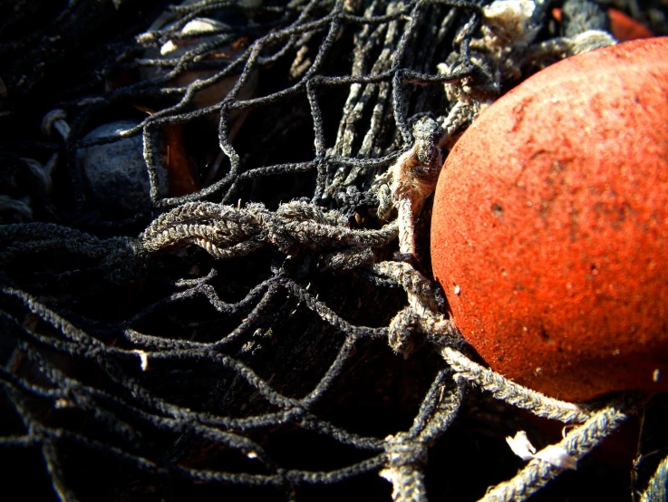 a orange inside of a net sitting on top of a table