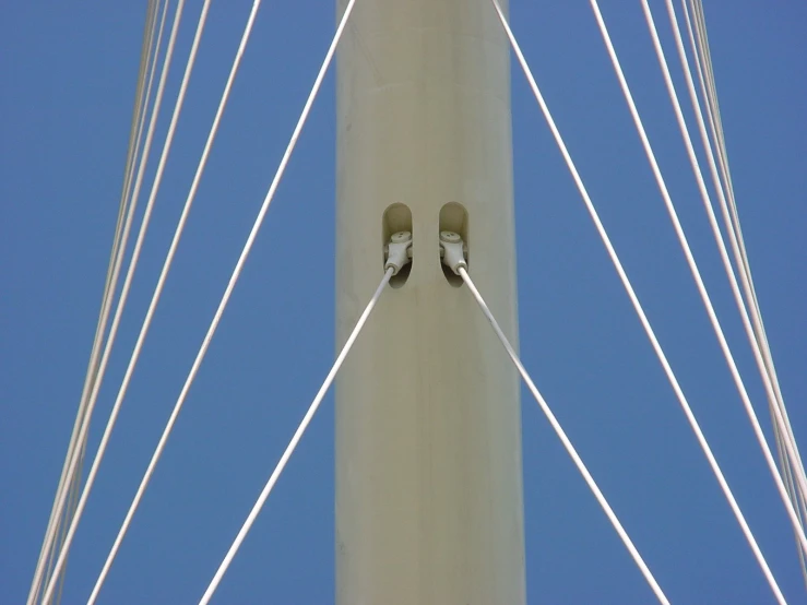 a couple of birds that are sitting on wires