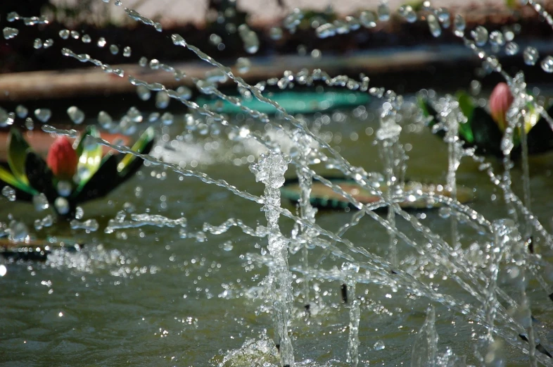 water jets of several colors on a pond surface