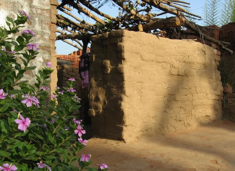 the adobe building has purple flowers growing out of it