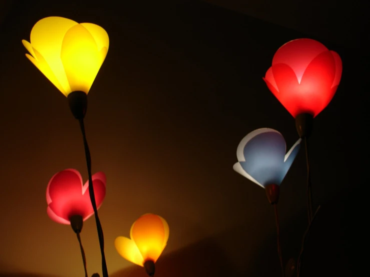 three flower shaped lights glowing on a wall