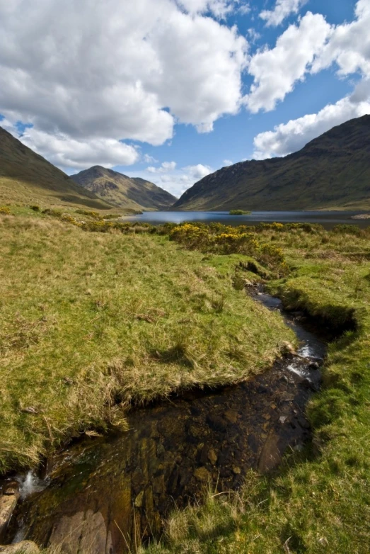 a wide open field with a river flowing between the two mountains