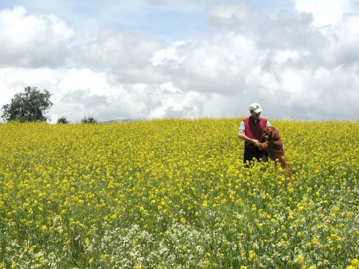 a man walking through a field holding his dog