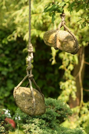 two balls of rock hanging from a rope and hanging in a tree