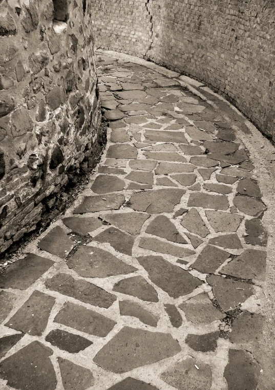 a pathway with cobblestones and old buildings