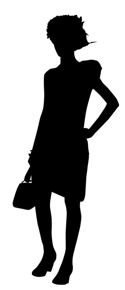 a female with a handbag standing silhouette