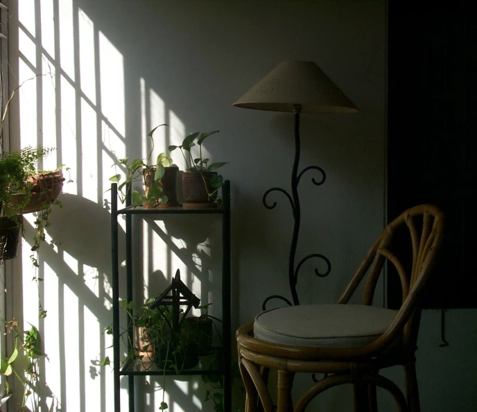 an area with potted plants and several lights