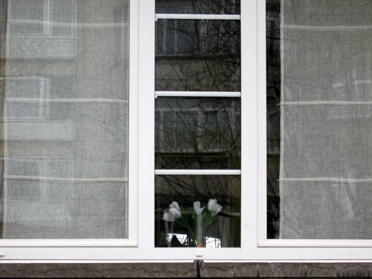 the flowers are in vases behind a window