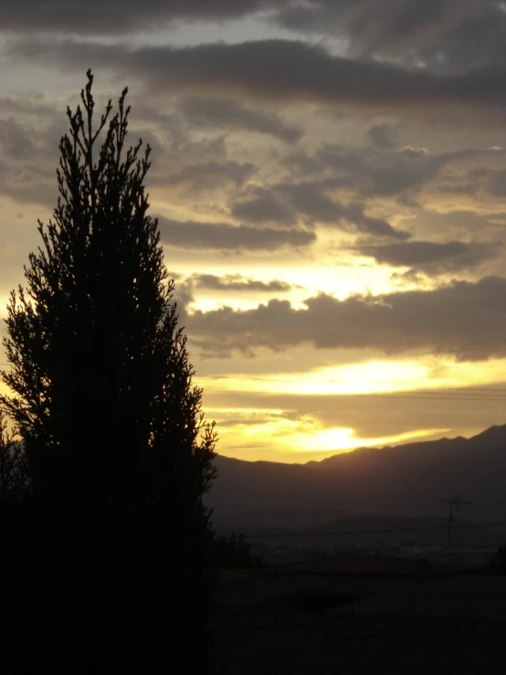 a big tree that is sitting in front of some clouds