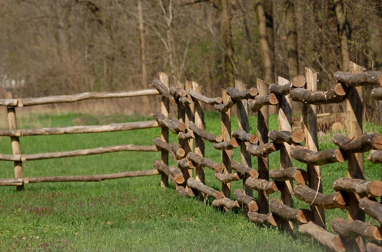 a wooden fence made from logs is next to a grassy field